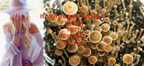 экстази Киреевск